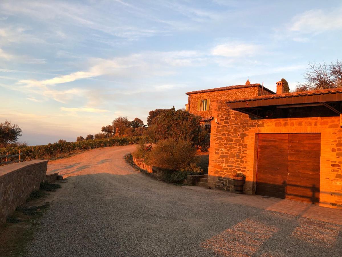 Podere Soccorso Casa Vigneto Montalcino Ngoại thất bức ảnh