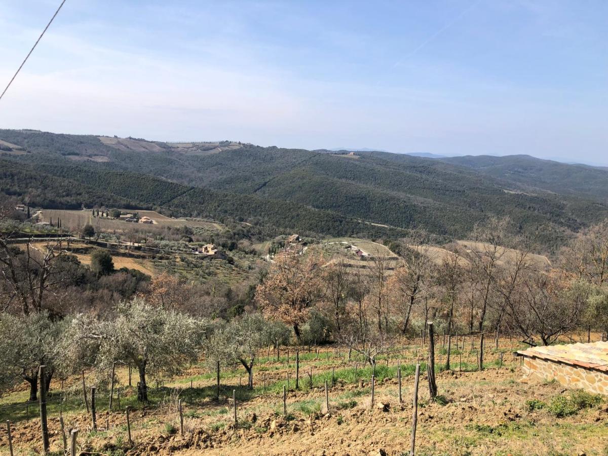 Podere Soccorso Casa Vigneto Montalcino Ngoại thất bức ảnh