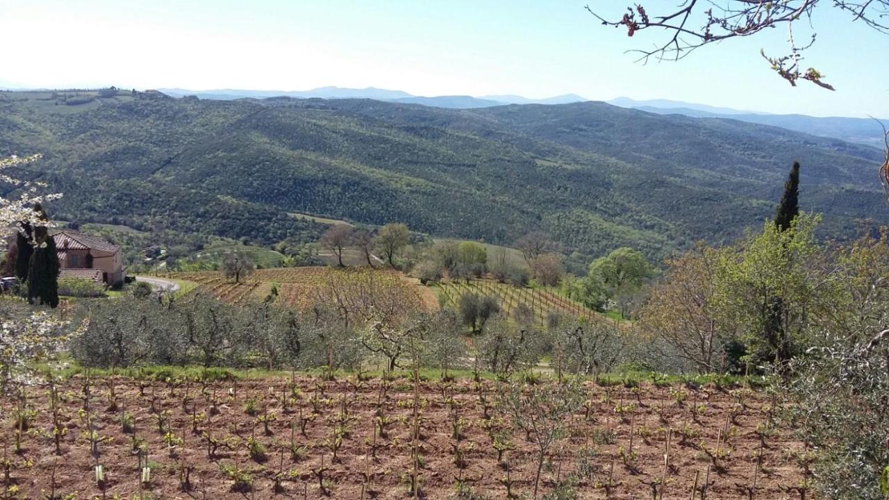 Podere Soccorso Casa Vigneto Montalcino Ngoại thất bức ảnh