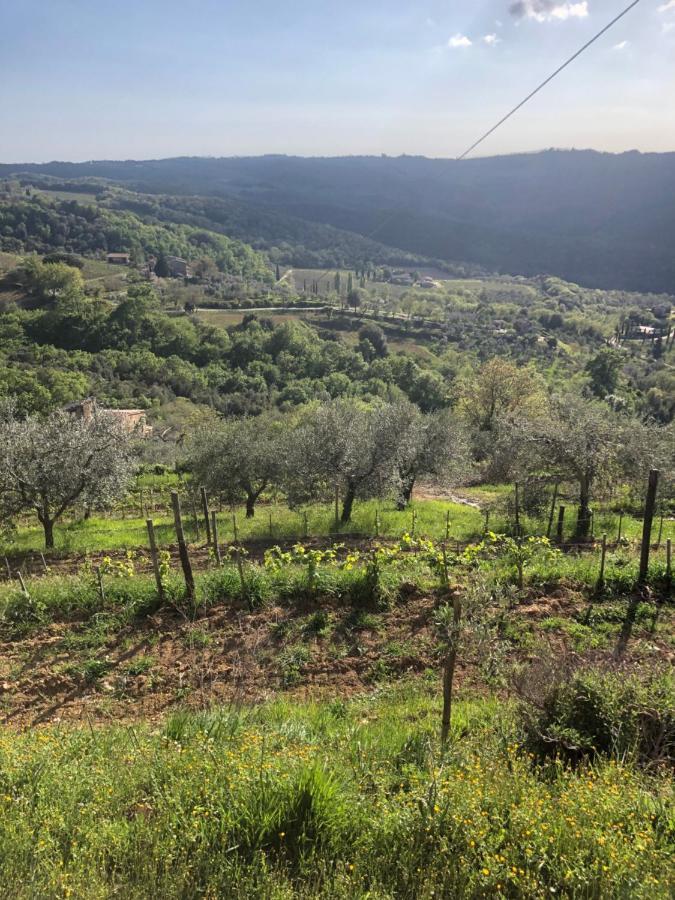 Podere Soccorso Casa Vigneto Montalcino Ngoại thất bức ảnh